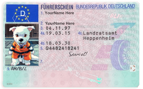 Local Driver License